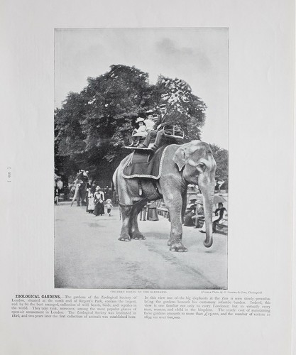 1896 londra stampa con - 1896,