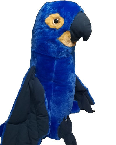 Peluche jumbo giacinto - peluche, ara