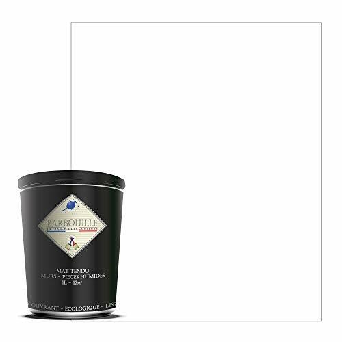 Pittura murale acrilica