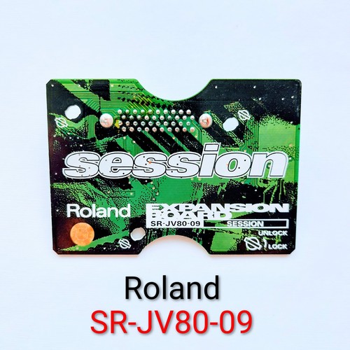 Scheda espansione roland - scheda, di