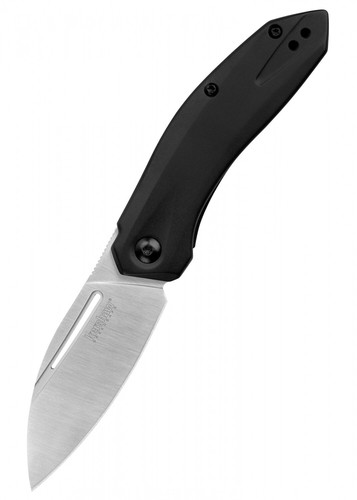 Coltello tascabile kershaw - coltello,