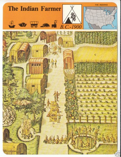 The indian farmer native - the,