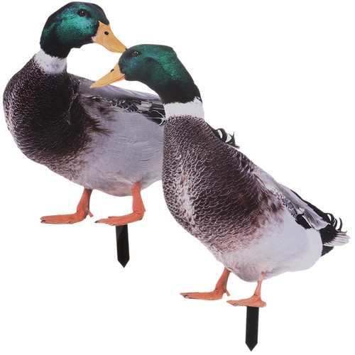 Pcs decorative garden - , 2