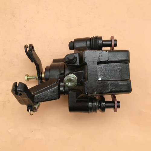 Assy pinza freno posteriore