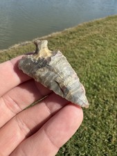 Coltello Angolare Alibates