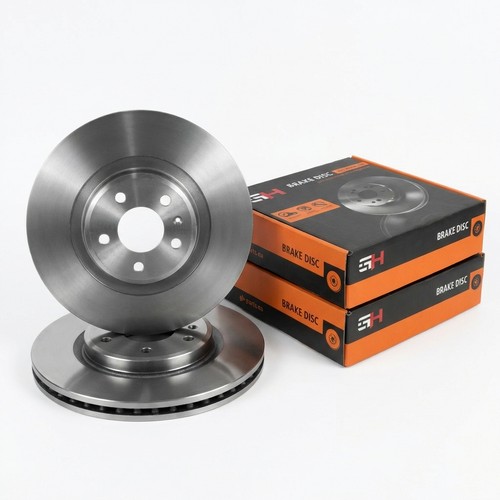 Coppia dischi freno ventilato - coppia,