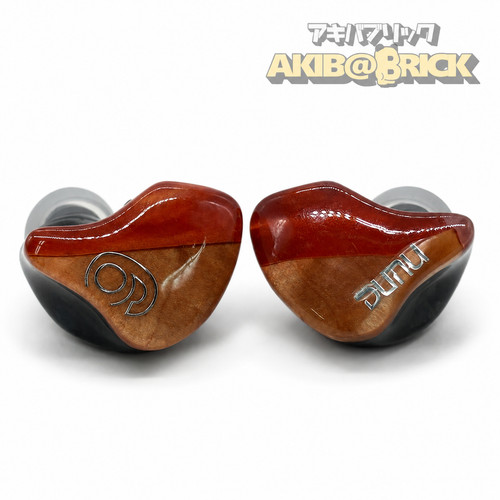 Dunu topsound sa6 mk2 - sa6, in-ear