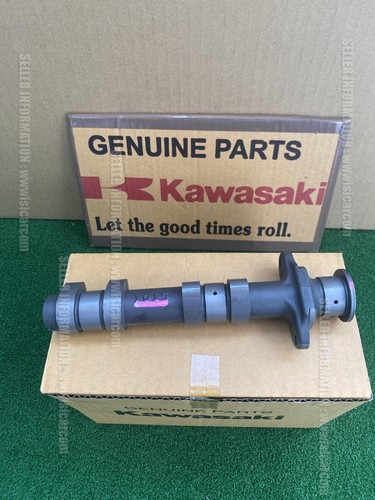 Kawasaki ninja 300 abs - 300, 2026