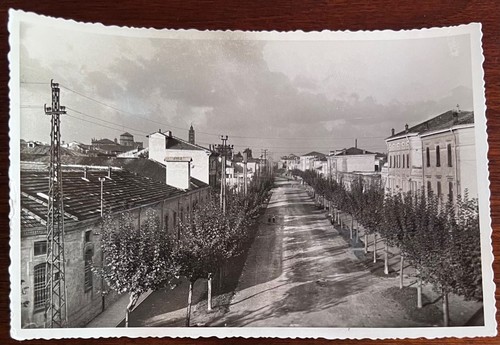 CARTOLINA-BOZZA