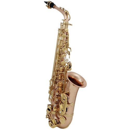 Roy benson 202 sassofono - as-202,