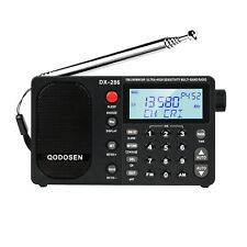 QODOSEN DX-286 Radio portatile