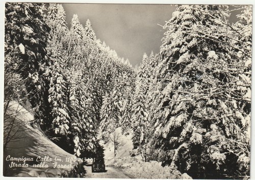 Campigna calla forli - campigna,