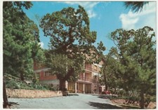 ARCIDOSSO - GROSSETO - ALBERGO RIST. BAR "AIUOLE" -76566-