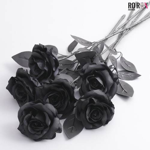 Rosa finta nera - , rose