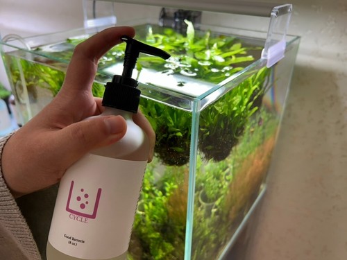 Boutique betta cycle - boutique,