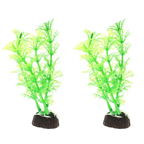2pz acquario piante - acquario,