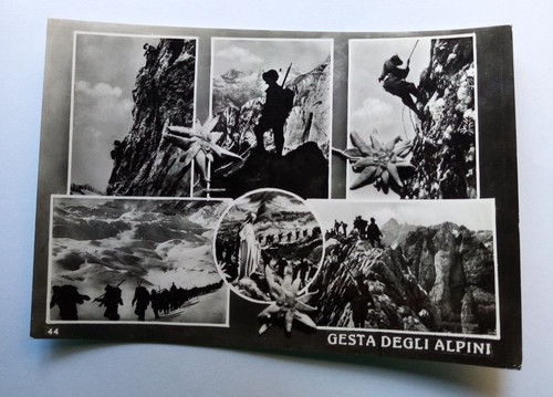 Gesta degli alpini - degli,