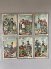 FLEURS ALPINES S 474 Serie Completa Figurine LIEBIG FRA Fiori alpini