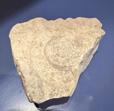 PIETRA CON INSERTO DI