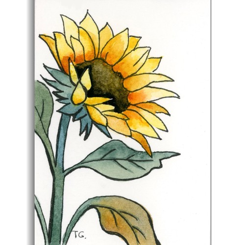 Acquerello originale aceo - acquerello,