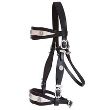 BAROCCO "Classico" + REDINI