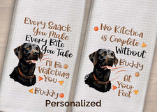 Set 2 strofinacci da