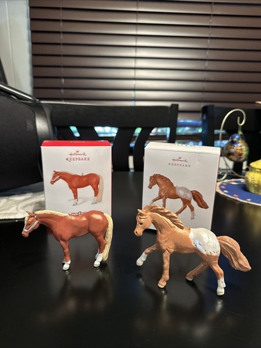 Hallmark dream horse - hallmark, appaloosa
