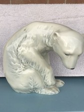 Orso Polare Porsgrund Norway 