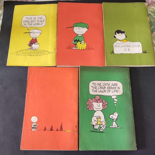 Charlie brown fumetti - brown, in
