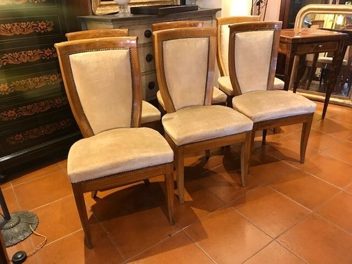 Lotto eleganti sedie in - di, 06
