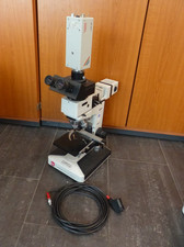 Microscopio Leitz Laborlux 12