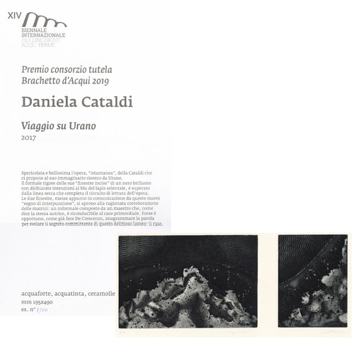 Cataldi daniela viaggio su - cataldi, daniela"