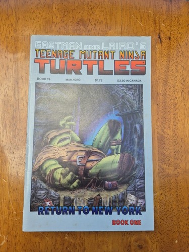 Teenage mutant ninja - teenage,
