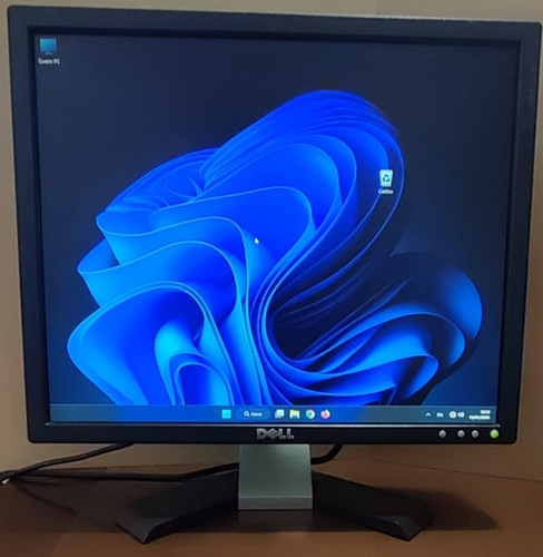 Dell e196fpf monitor schermo - monitor,
