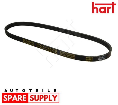 Cinghia trapezoidale per - cinghia,