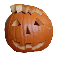 10 semi della vera Zucca Americana di Halloween - ATTIVI, PRONTI PER LA SEMINA