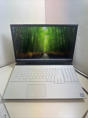 Alienware area 51m - 51m, 17,3"