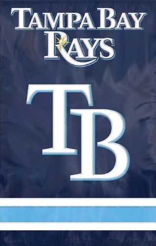 Tampa bay rays premium - bay,