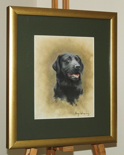 Tony wooding dipinto - tony,