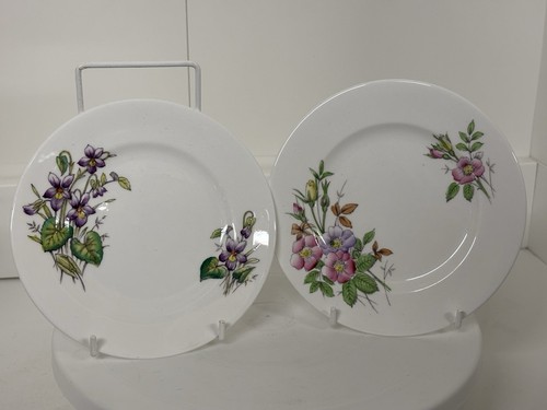 Royal albert flower of the - royal,