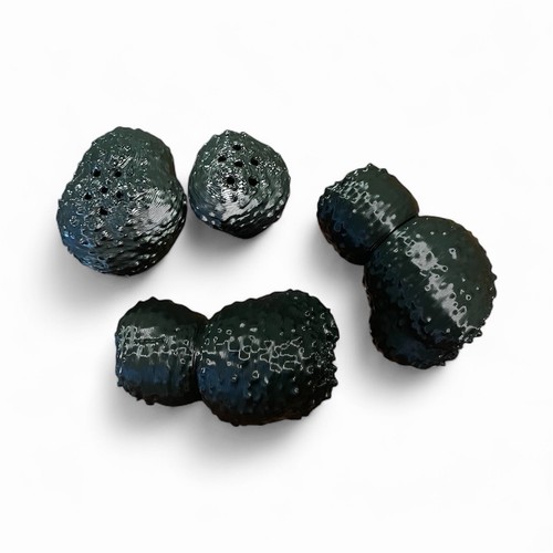 Tartufo addestramento cane - tartufo,