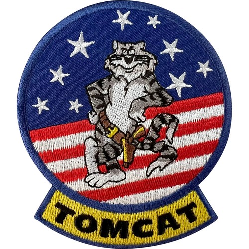Tomcat fighter aircraft - fighter,