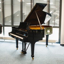 Ala Steinway & Sons, modello