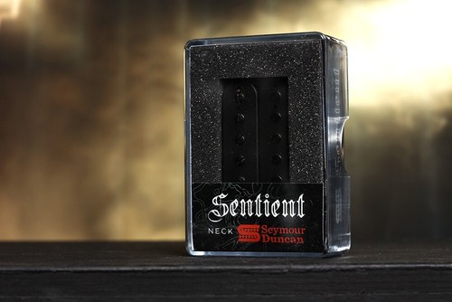 Seymour duncan senzient - seymour, 6