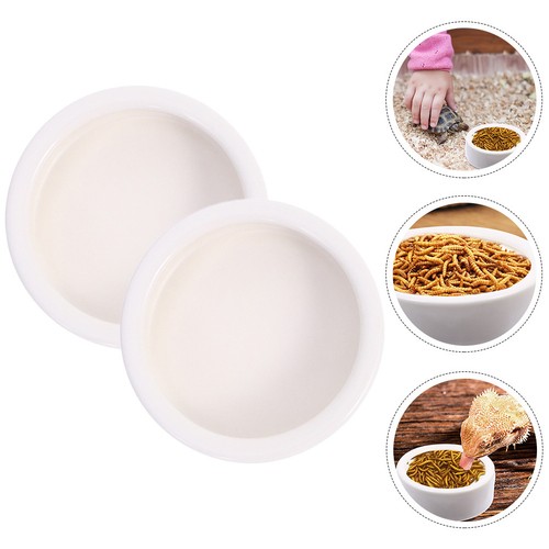 Pezzi ciotole acqua - 2, rettile