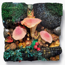 GILARDI PIERO - Funghi