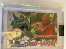 2024 WILD CARD DINO-MIGHT