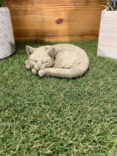 Statua commemorativa gattino - statua,