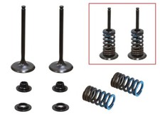 NUOVO PSYCHIC Valve intake /