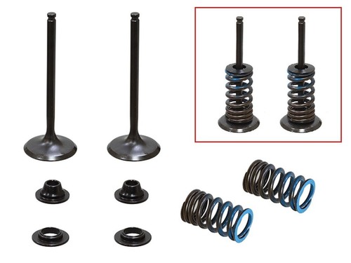 Nuovo psychic valve intake - psychic,